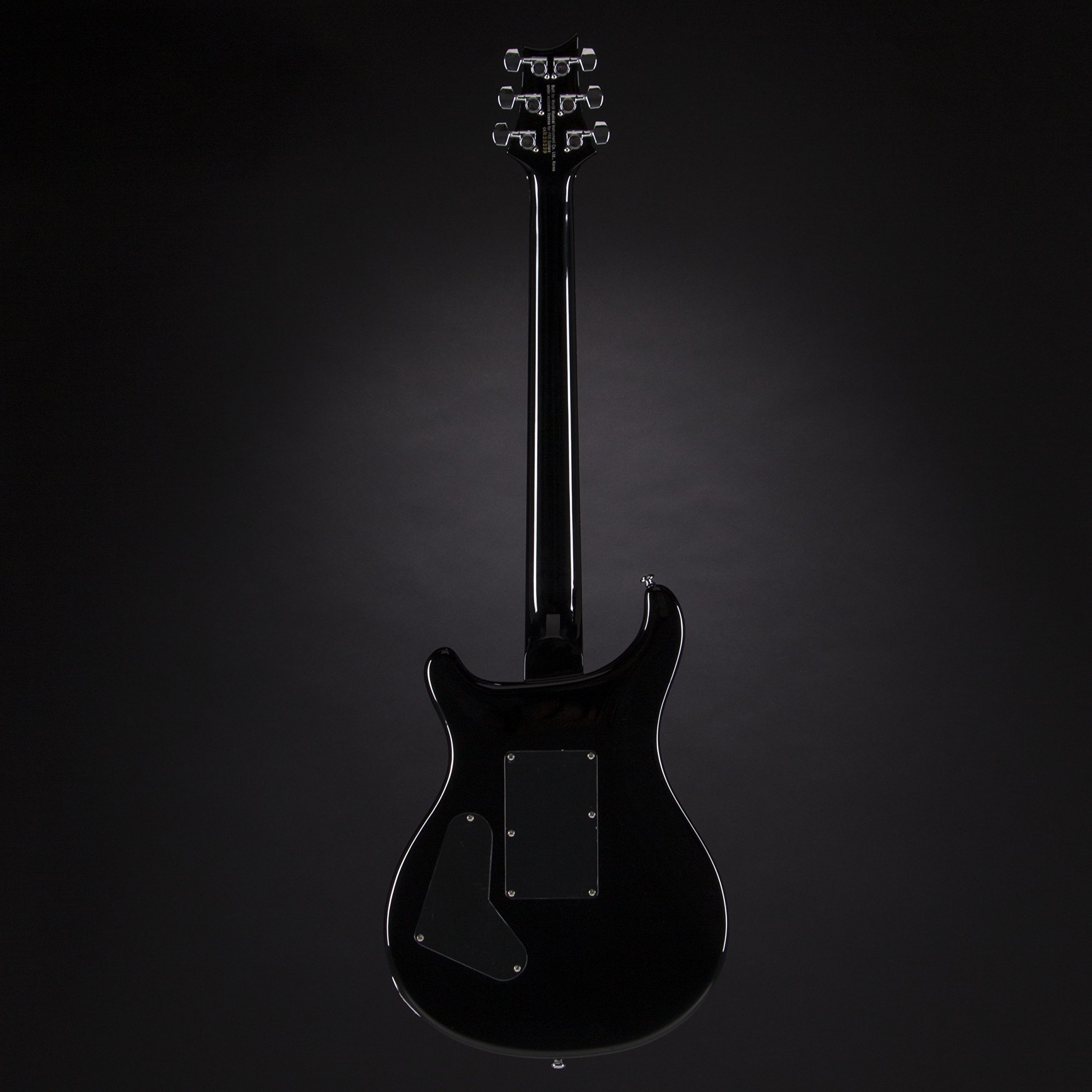 Amazon.com: PRS Paul Reed Smith SE Custom 24 Floyd Rose Electric